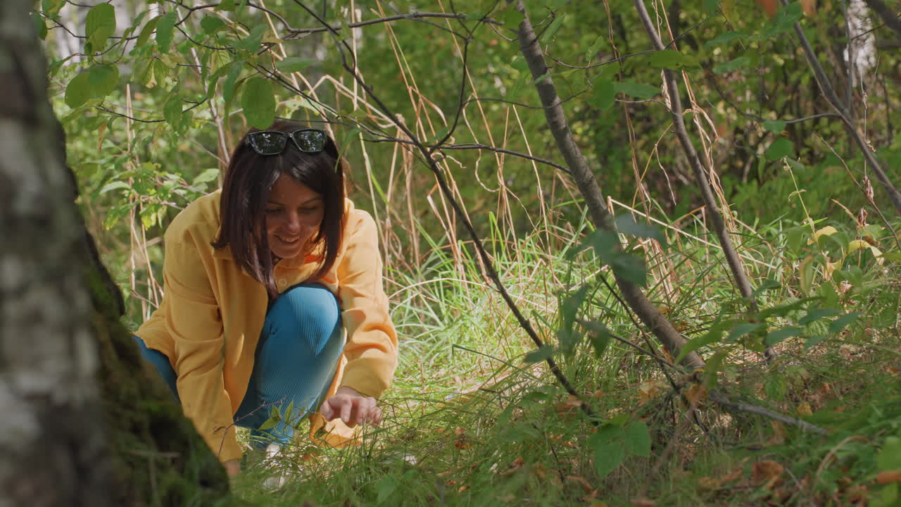 White woman crouching in forest undergrowth, wearing yellow jacket while searching ground near birch trees attentive camper foraging and inspecting moss and leaves, dappled sunlight, intimate close