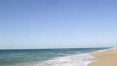 The-camera-follows-seabirds-cross-paths-as-they-flyover-incoming-waves-on-a-sandy-beach,-Rocky-Point,-Puerto-Peñasco,-Gulf-of-California,-Mexico