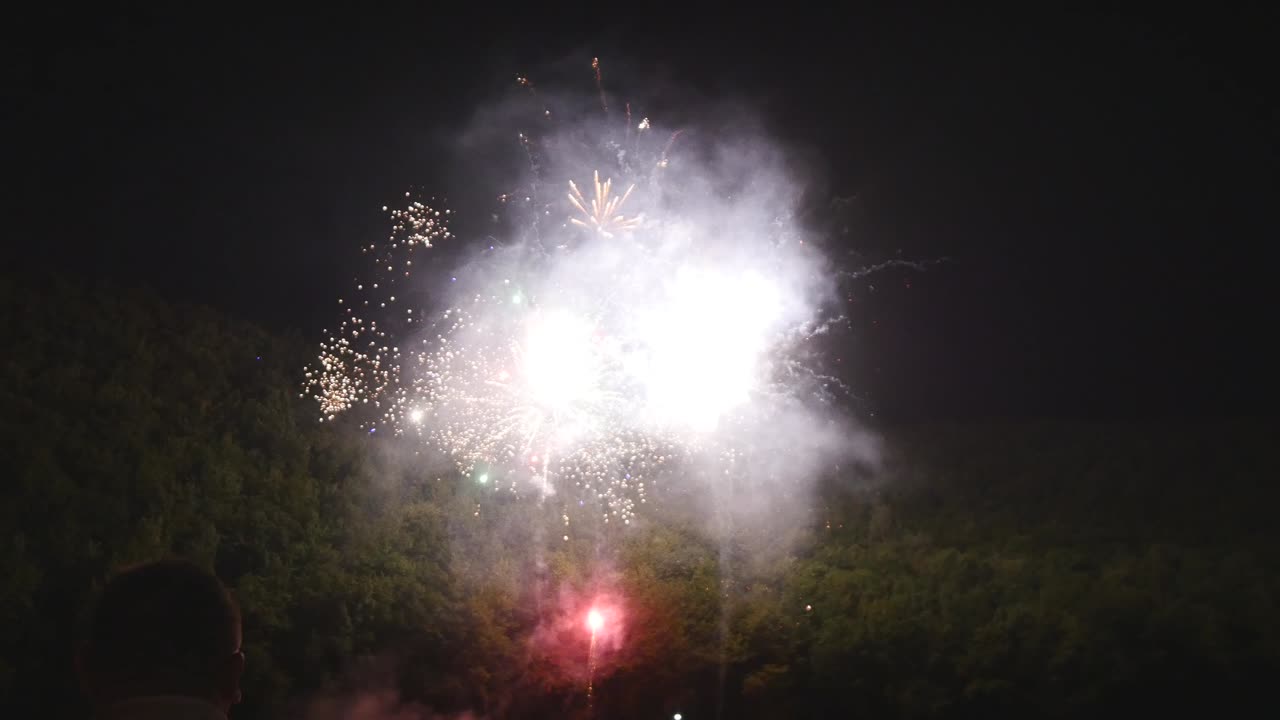 fuegos artificiales. celebración de las vacaciones. coloridos fuegos artificiales en la noche de las vacaciones