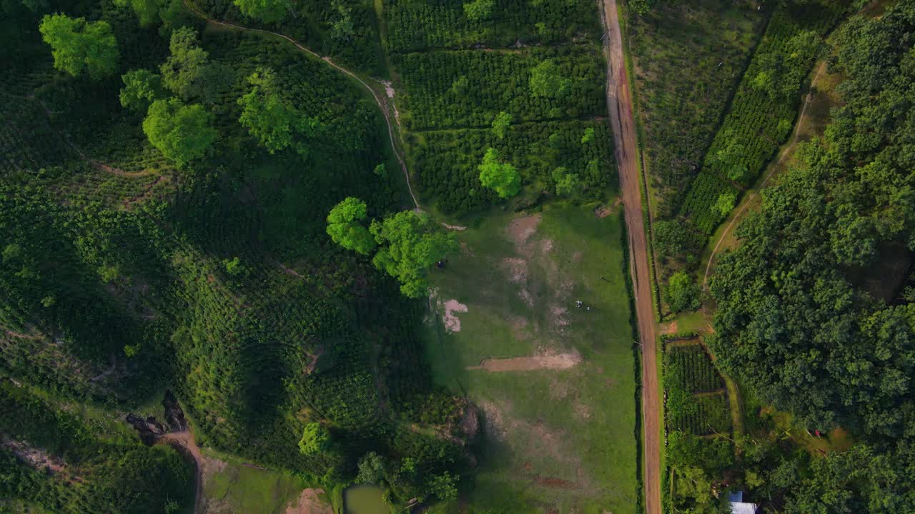 drone aéreo disparado por encima de la carretera
