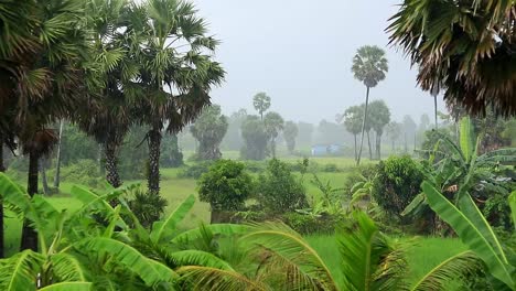 Amplia-Vista-De-La-Suave-Lluvia-Que-Cae-Sobre-La-Exuberante-Y-Brumosa-Campiña-Rural-De-Kampot,-Camboya