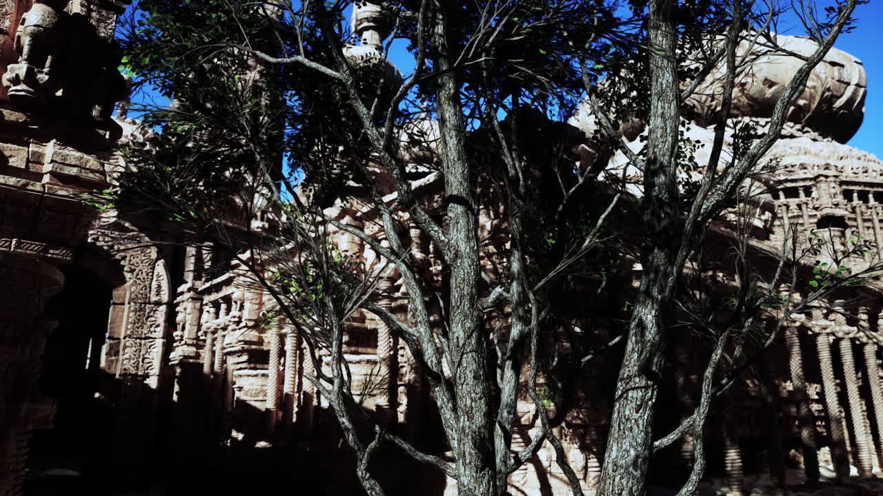 울창한 정글에서 길을 잃은 사원