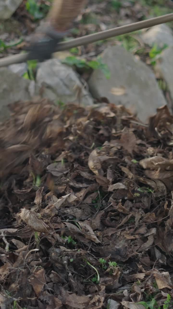 Raccogliere le foglie in giardino