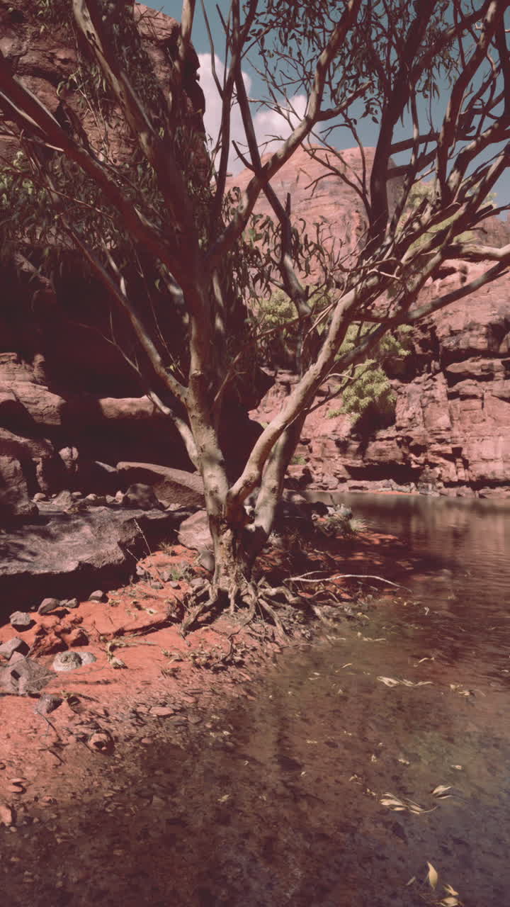 Riflesso del Grand Canyon nel fiume Colorado