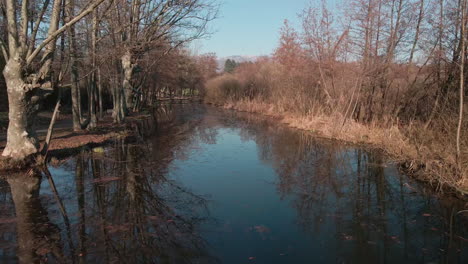 Beautiful-Reflection-Of-Trees-And-Bushes-On-Calm-Lake-Water-In-Northern-Italy---aerial-drone-shot