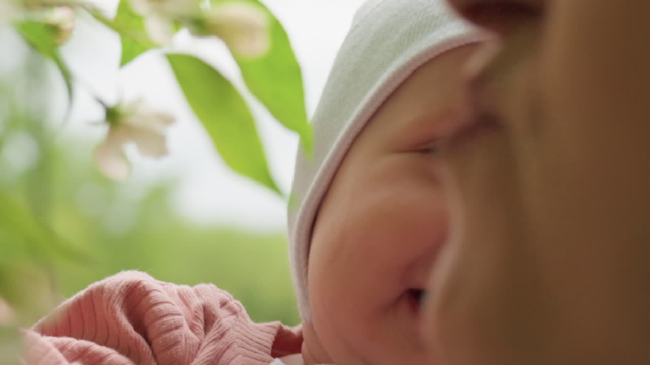 Baby Explores Nature, Caucasian Infant Observes Tree Leaves With Gentle Sunlight Illuminating Face, Baby Of Caucasian Descent Attentively Reaches Toward And Examines Nearby Green Leaves