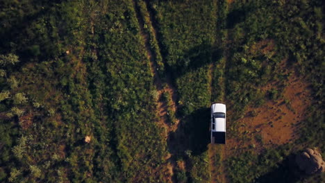 4wd-car-truck-bush-Kimberley-Looma-Camballin-drone-aerial-birdseye-Western-Australia-Outback-aboriginal-land-dry-season-Northern-Territory-Faraway-Downs-Under-Broome-Darwin-Fitzroy-Crossing-follow