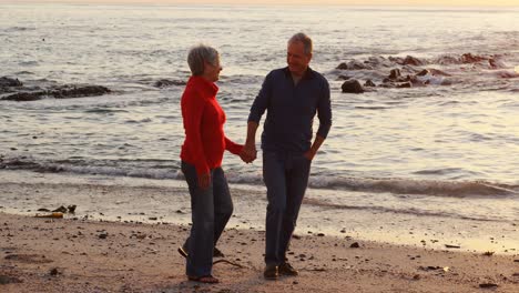 senior couple walking on beach 4k