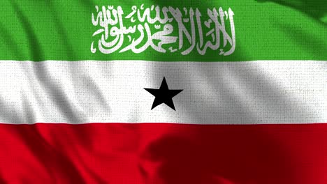 Somaliland Flag - Realistic 4K - 30 fps flag of the Somaliland waving in the wind.