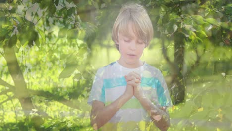 Animation-of-caucasian-boy-praying-over-green-trees-in-background