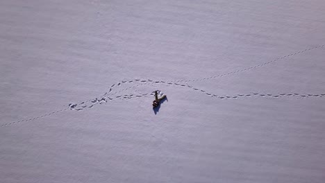 一名年轻人穿着滑雪服独自躺在宽敞的雪地中,无人机拍摄