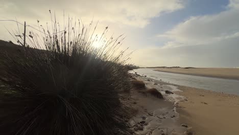 The-flora-bordering-the-water-channel-near-the-Spanish-coastline-embodies-the-concept-of-coastal-biodiversity-and-environmental-symbiosis