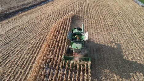 en novembre, une exploitation agricole du ne wisconsin hache et recueille du maïs pour l'ensilage