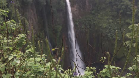 a view of the la catarata del toro waterfall in costa rica, with its impressive cascade of water plunging into a pool