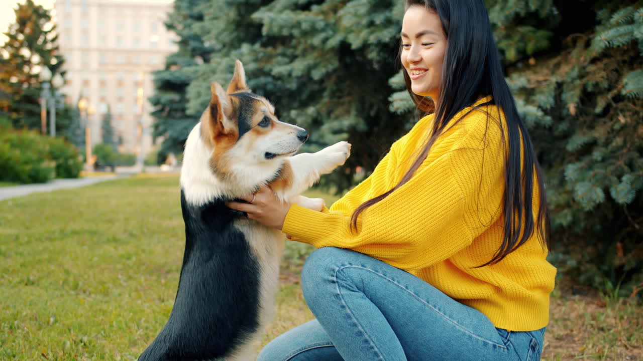 공원 에 있는 여자 와 그 의 개