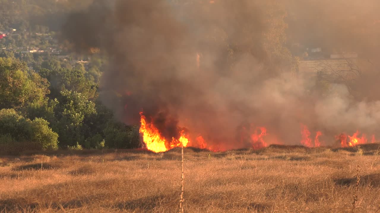 불 은 건조 한 식물 을 타고 불타고 있다