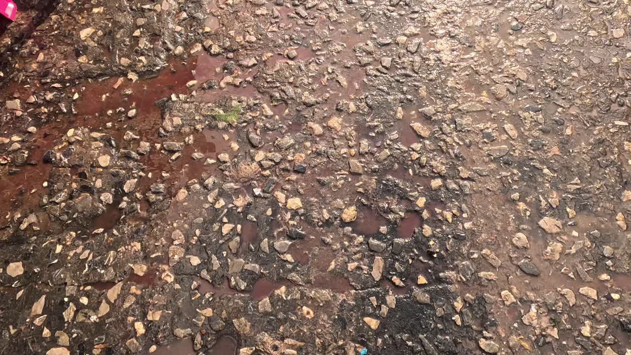 피 가 묻은 시장 층 을 청소 하는 장면