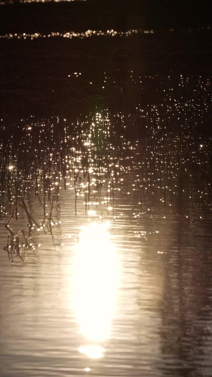 Sunlight sparkles on river with serene reflections and rippling water
