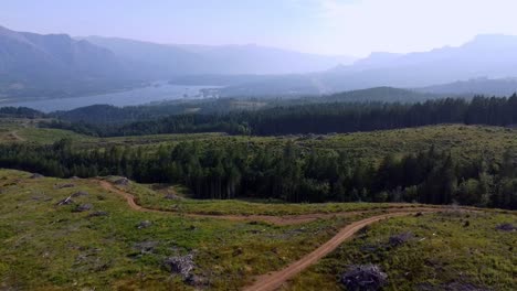 scenic aerial view of the columbia river gorge in the pacific northwest