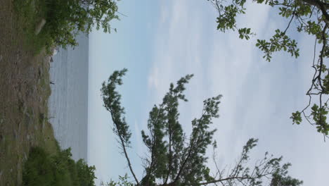 vertical view of a quiet nature with scandinavian coastline in norway