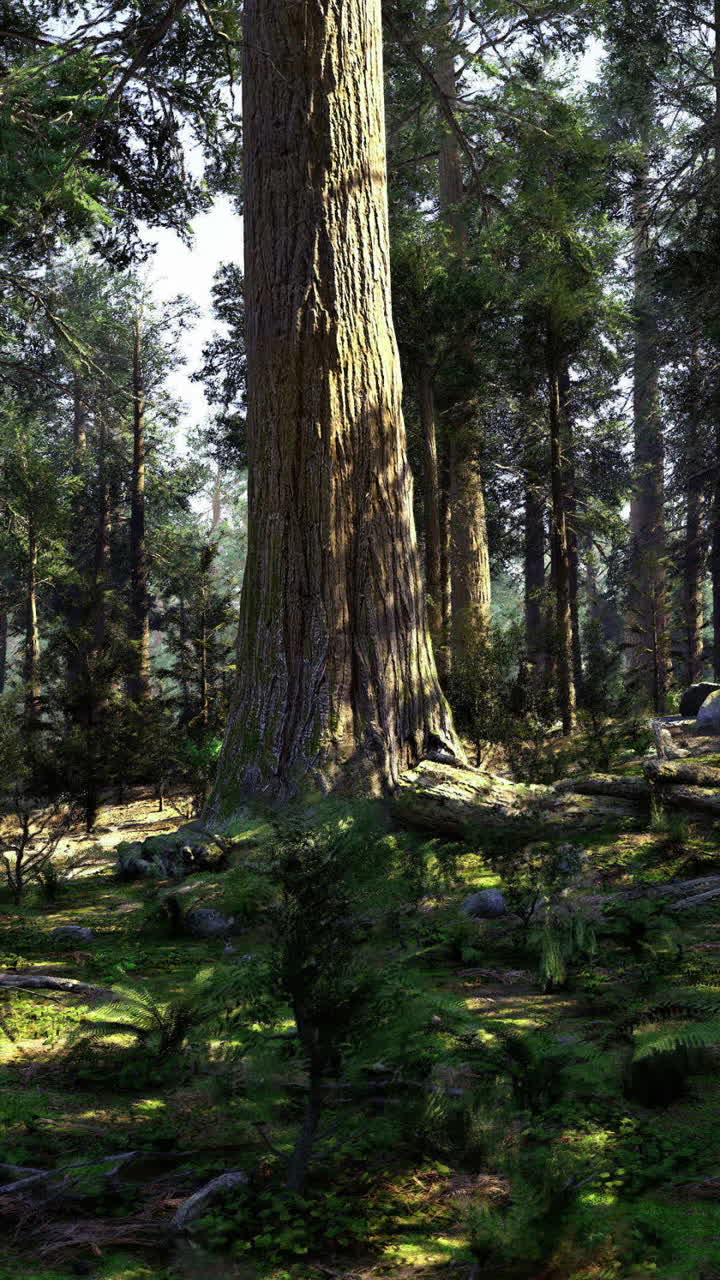 Foresta rigogliosa con alberi imponenti e sottobosco vivace in una giornata di sole