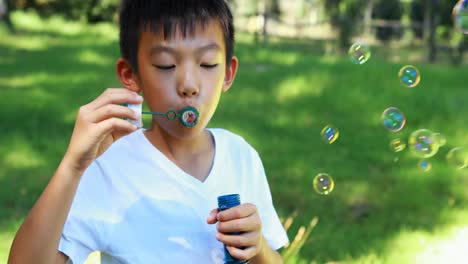 Boy-blowing-bubbles-in-park