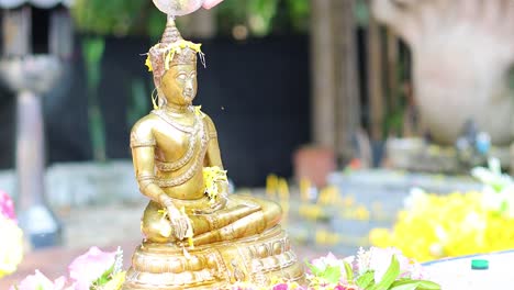 sequential pouring of water over a golden buddha statue