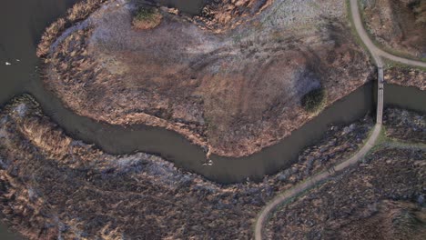 epic top-down view of small river and lake with birds - boom up shot