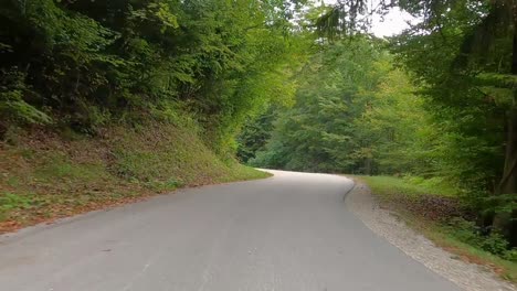 Car-driving-on-a-forest-road-in-the-mountains,-no-other-cars