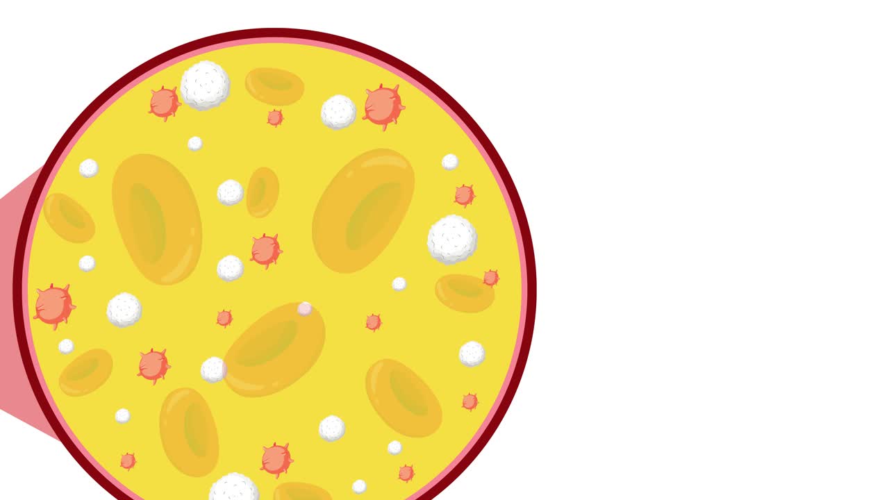 혈액의 세포 구성에 대한 교육적 분해