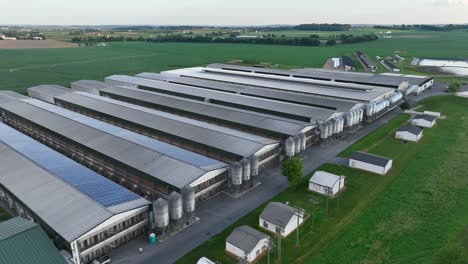 huge factory farm chicken houses with solar panels