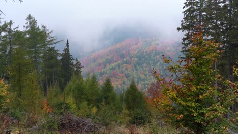 Vista-Estática-De-Un-Hermoso-Valle-En-Montañas-De-Mineral-En-Otoño-Brumoso-Y-Colorido