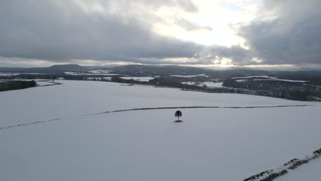 Drone-flying-over-snow-covered-field-and-nature-in-Japan-in-winter