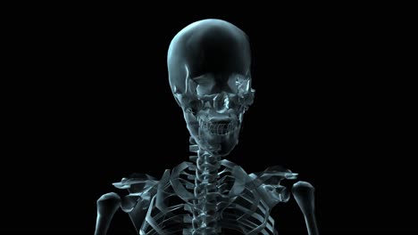 Medizinische-3D-Animation-Eines-Sich-Drehenden-Menschlichen-Skeletts