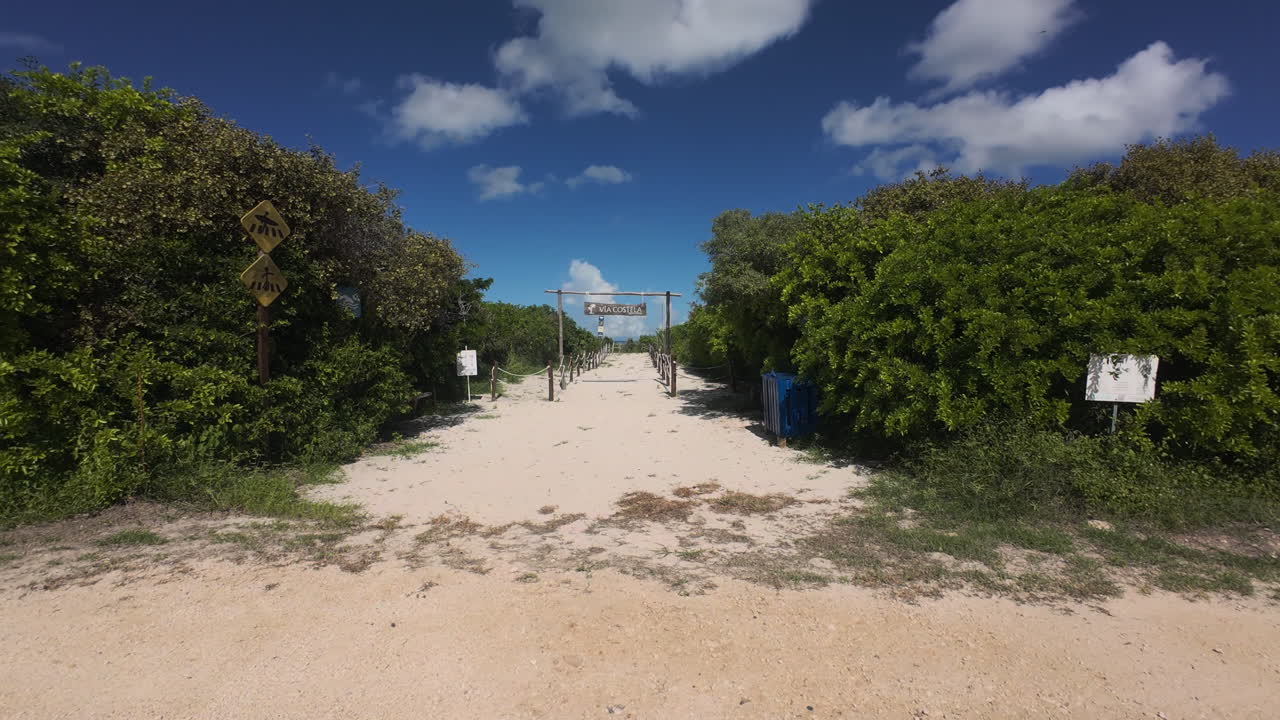 Sisal Travel and Coastal Development. Beach Path Sisal, Yucatán
