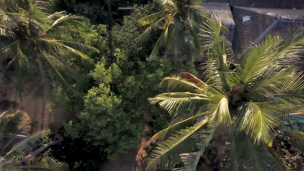 Aerial View of Tropical Scenery