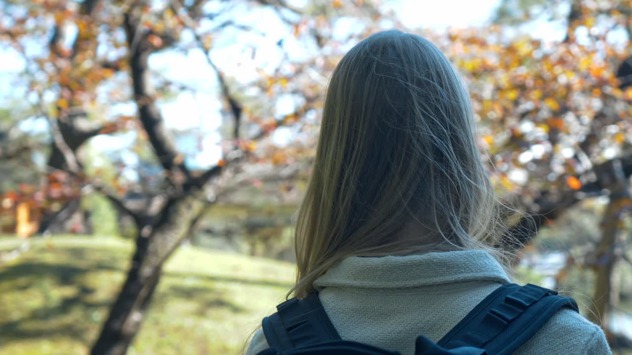 A young woman gazes at the serene lake in Hamarikyu Gardens, Tokyo, surrounded by vibrant autumn foliage in shades of red, orange, and yellow.