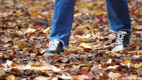 legs of unrecognizable people walking on colorful fallen leaves in a park - close-up