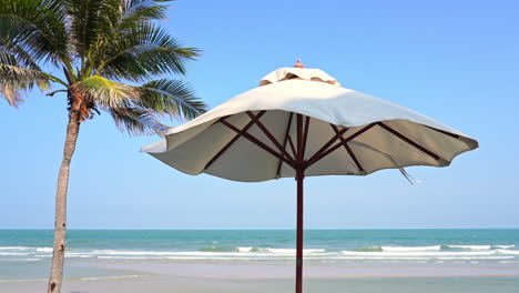 One-Beach-parasol-shaking-under-light-wind-from-the-sea-standing-next-to-the-coconut-tree-palm-daytime