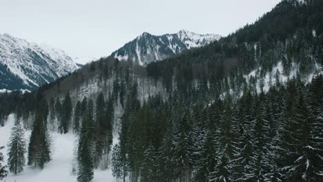 aerial forward german alpine panorama, snowy evergreen forest in the winter