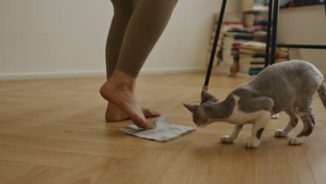 Ejercicios-Para-Las-Piernas-Cerca-De-Una-Mujer-Moviendo-El-Pie-En-El-Piso-Del-Apartamento-Para-Practicar-Yoga-De-Estiramiento-Muscular,-Su-Gato-Está-Caminando