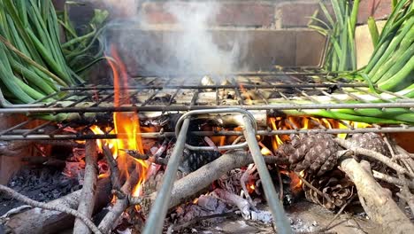 Grillen-Traditioneller-Katalanischer-Calcots,-Grill-Mit-Frühlingszwiebeln,-Nahaufnahme