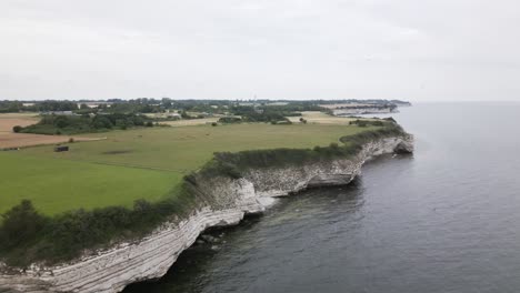 drone flight along some cliffs at the sea in denmark with birds