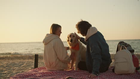 guy and girl on a sunny beach in the morning. a guy and a girl are stroking a light-colored soy dog on a sunny morning on the beach