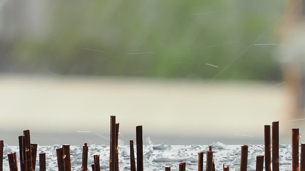 도시에서 비가 오는 날