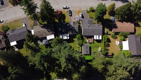 Aerial view of a suburban neighbourhood in Surrey, BC with luxurious homes and lush green trees
