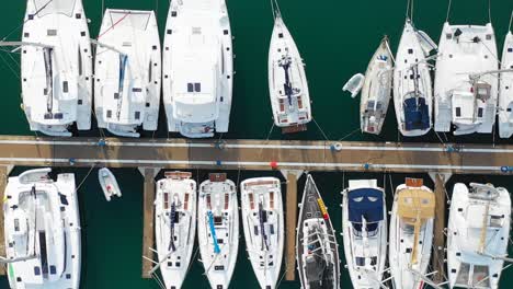 flying over yachts in marina