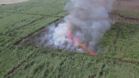 agricultural waste fire and smog, aerial view