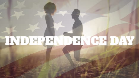 animation of independence day text, flag of america, diverse man proposing girlfriend at beach