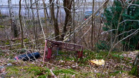 Old-shopping-cart-abandoned-inside-forest-overgrown-with-moss